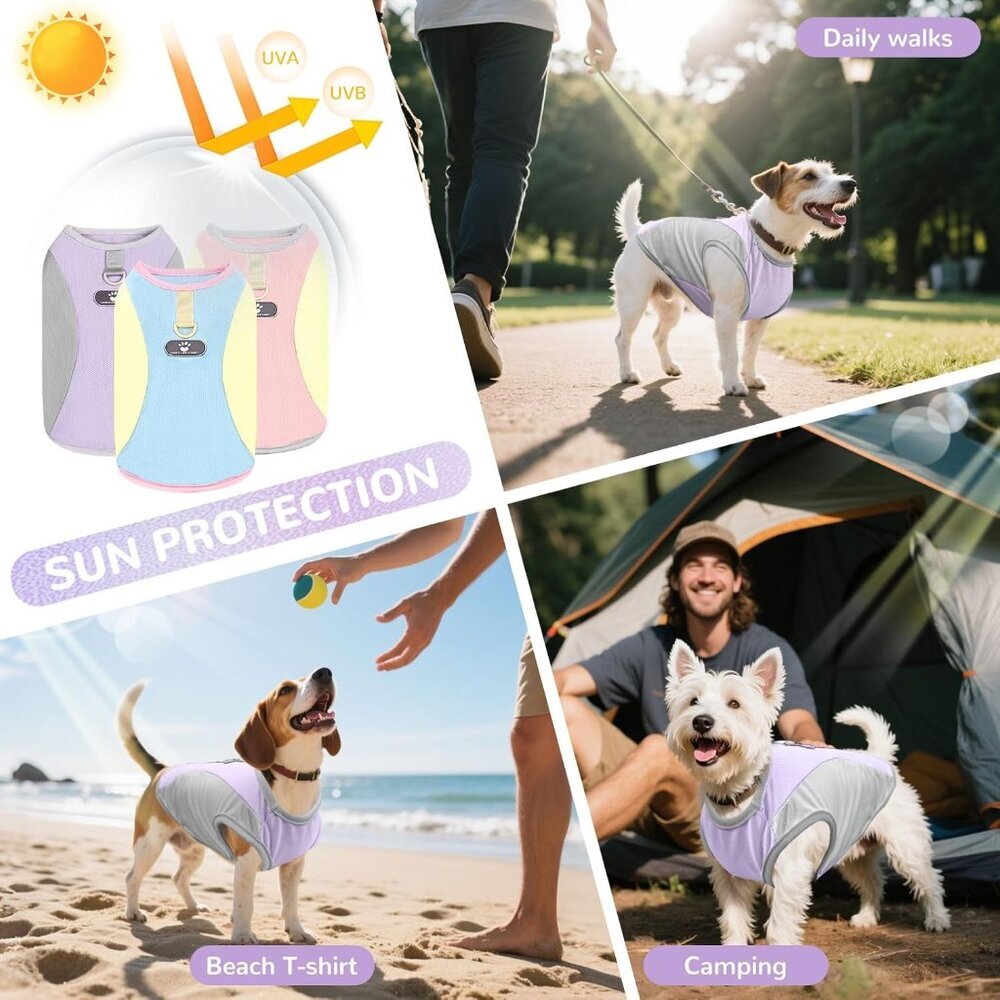 Comfortable Dog Cooling Vest with D-Ring - Stylish & Breathable for Small Breeds - Picture 2 of 7